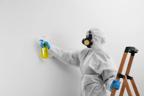 Best Mold Remediation for Healthcare Facilities  in Owensville, MO